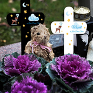 Grabkreuze für Sternenkinder