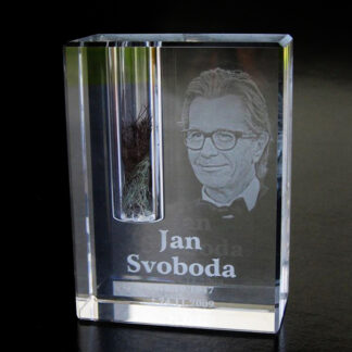 Glas Laser Porträt mit Asche oder Haaren MCV1