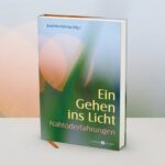 Ein Gehen ins Licht: Nahtoderfahrungen Jenseitsbilder - Erlebnisberichte - Impulse
