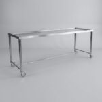 Fahrbarer Wasch- und Seziertisch WT 10/650 aus Edelstahl