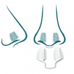 Nasenplugs gegen schlechte Gerüche