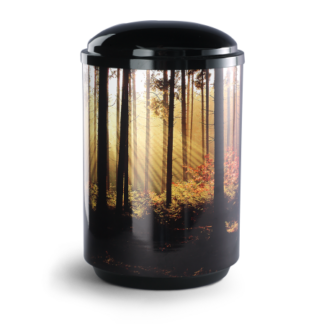 Cestal Urne, Edition Landscape;